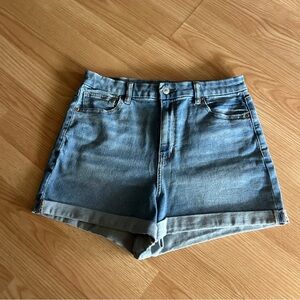 American Eagle Outfitters Blue Jean Shorts